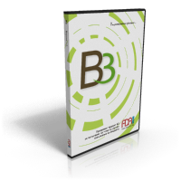 B3